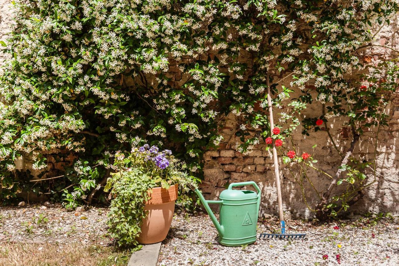 Apartment Hostly - Garden House Near The Tower - Historical House With Private Garden *