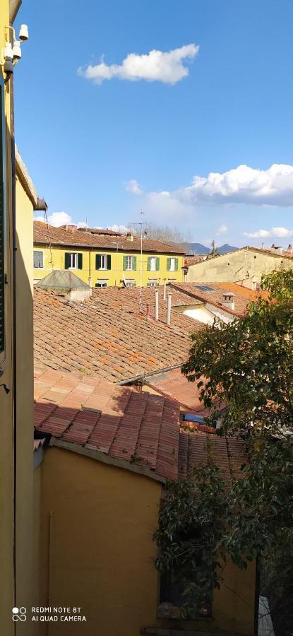 Desiderio Apartment Pisa