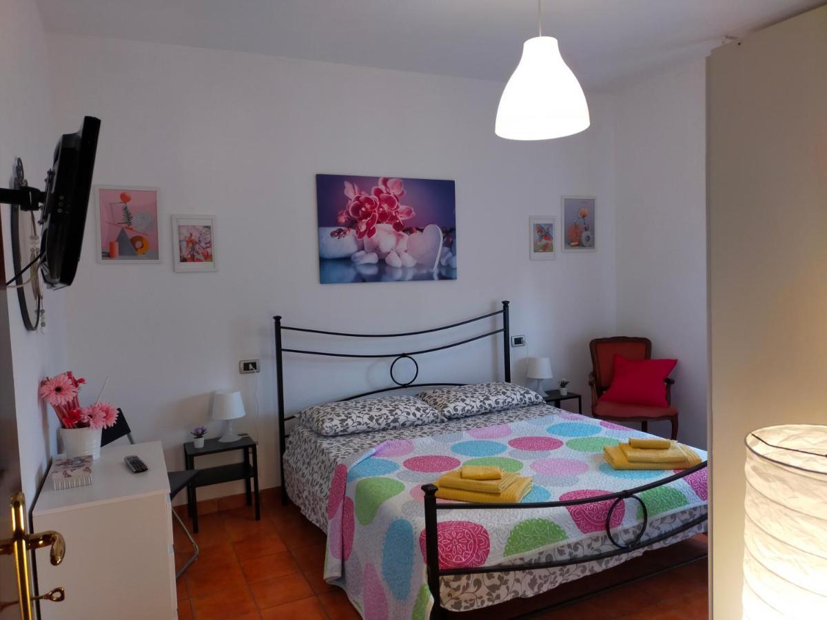 Casa Tiziana * Pisa