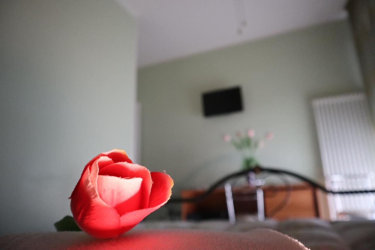 Affittacamere Brezza Della Primavera Guest house