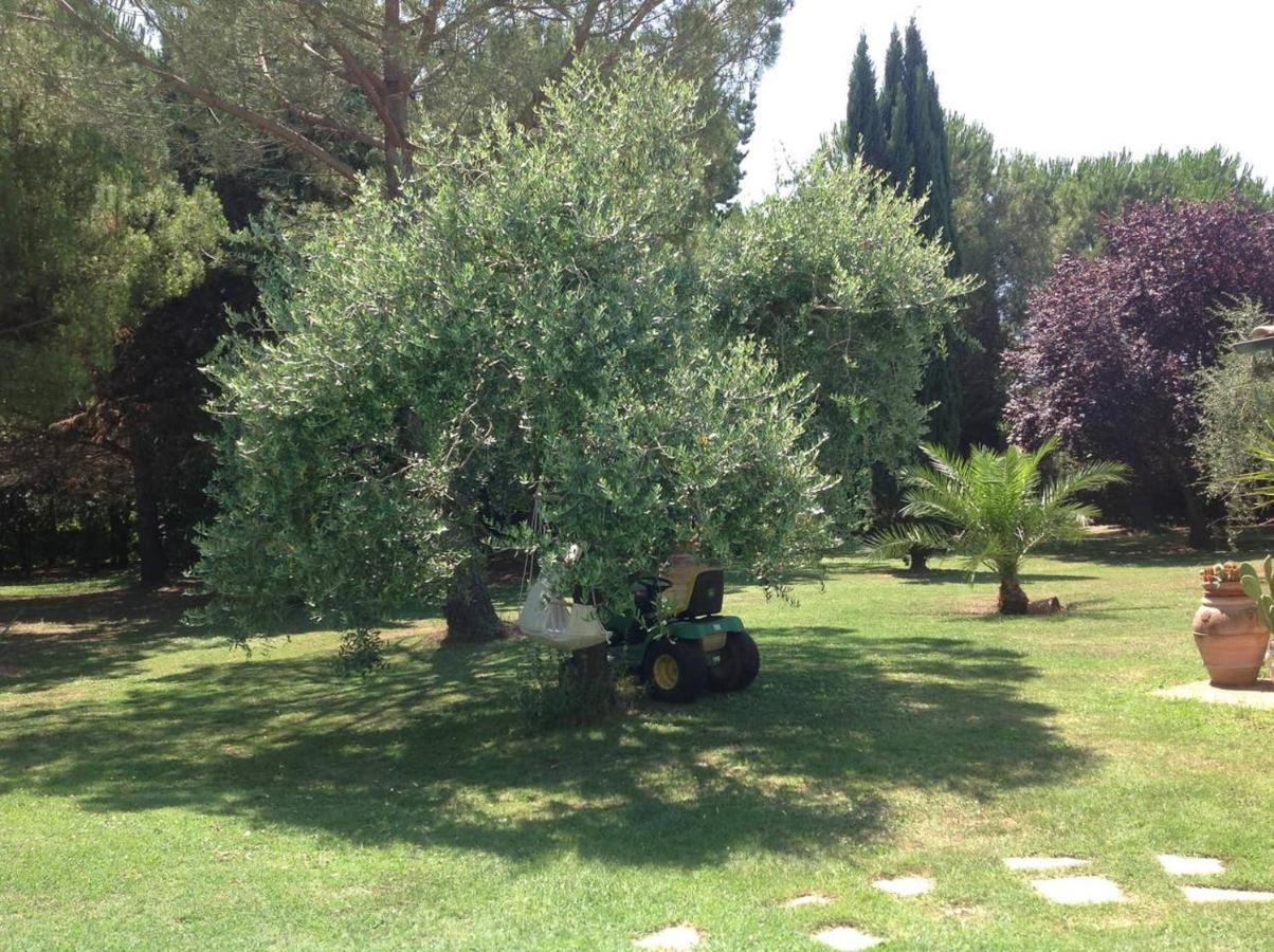 Charming In With Terrace And Shared Pool. Villa Pisa