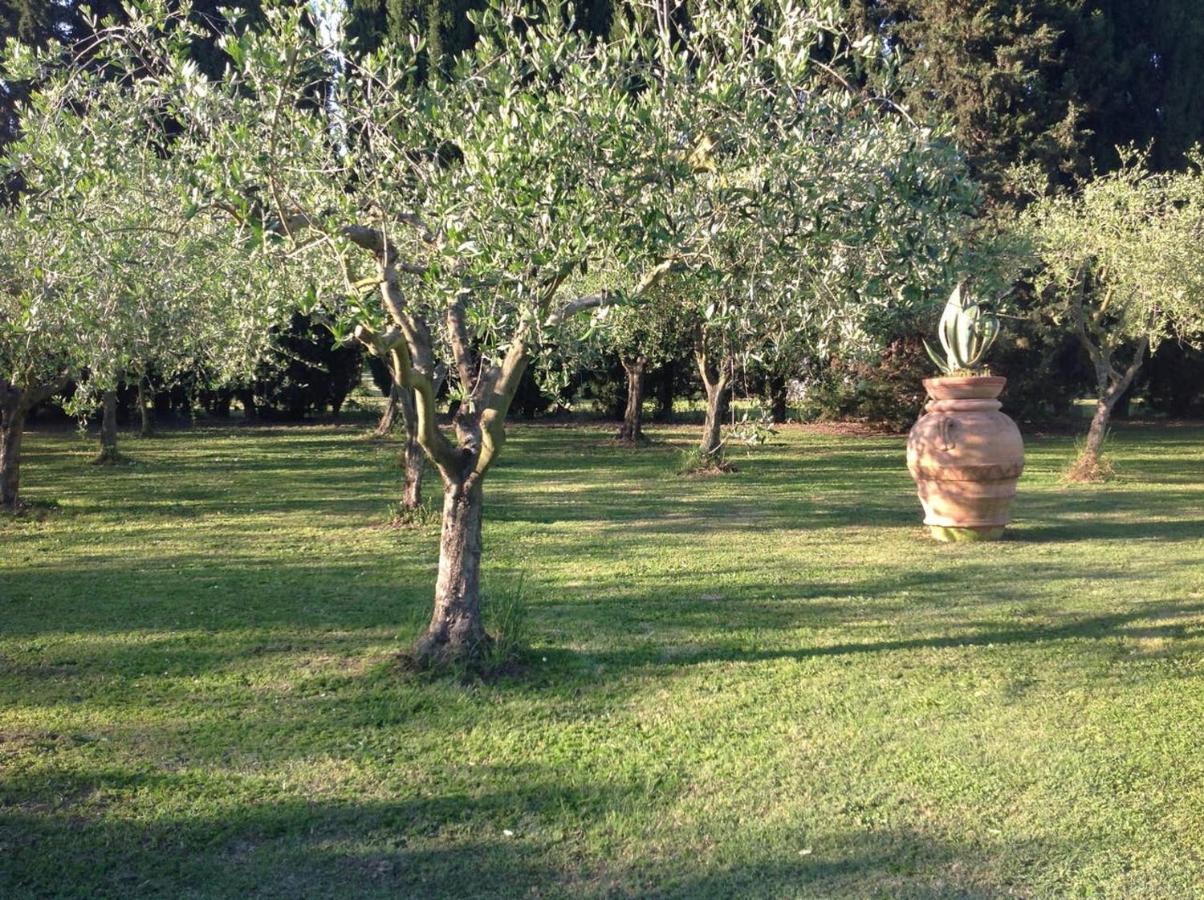 Charming In With Terrace And Shared Pool. Villa Pisa
