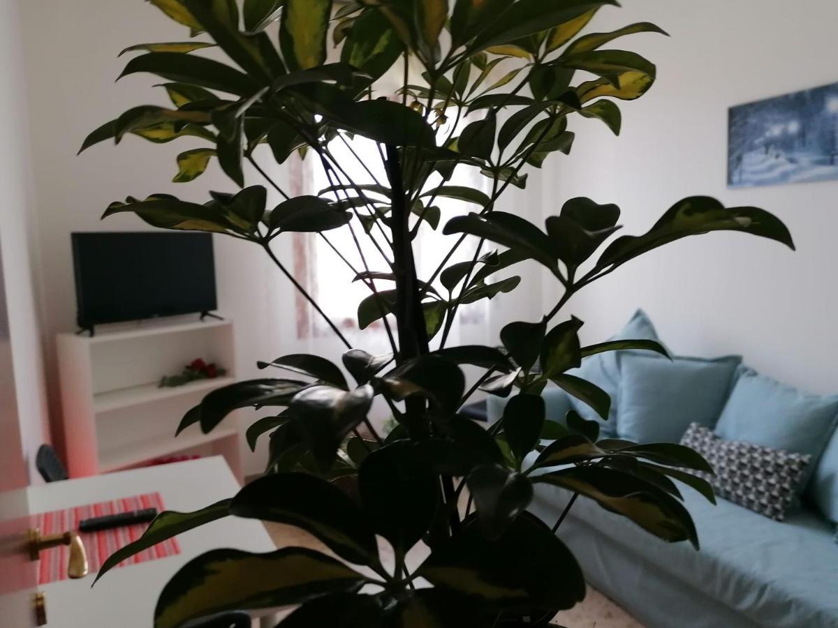 Giuseppe House Apartamento Pisa