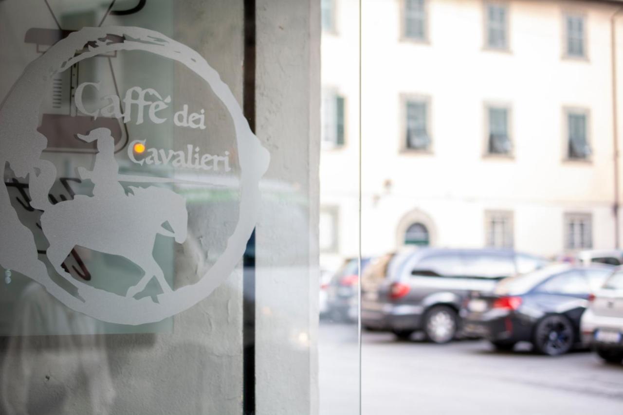 Bed & Breakfast La Lu Cozy 2 - Self Check-in Pisa