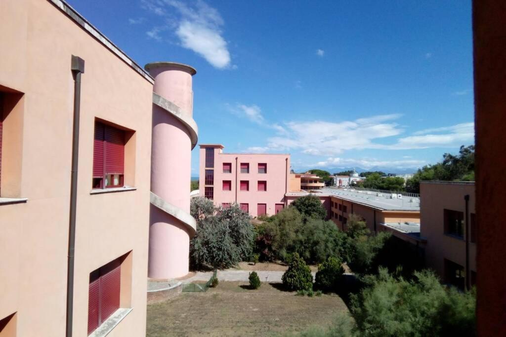 In Parco Naturale, Con Accesso Diretto Appartamento Pisa