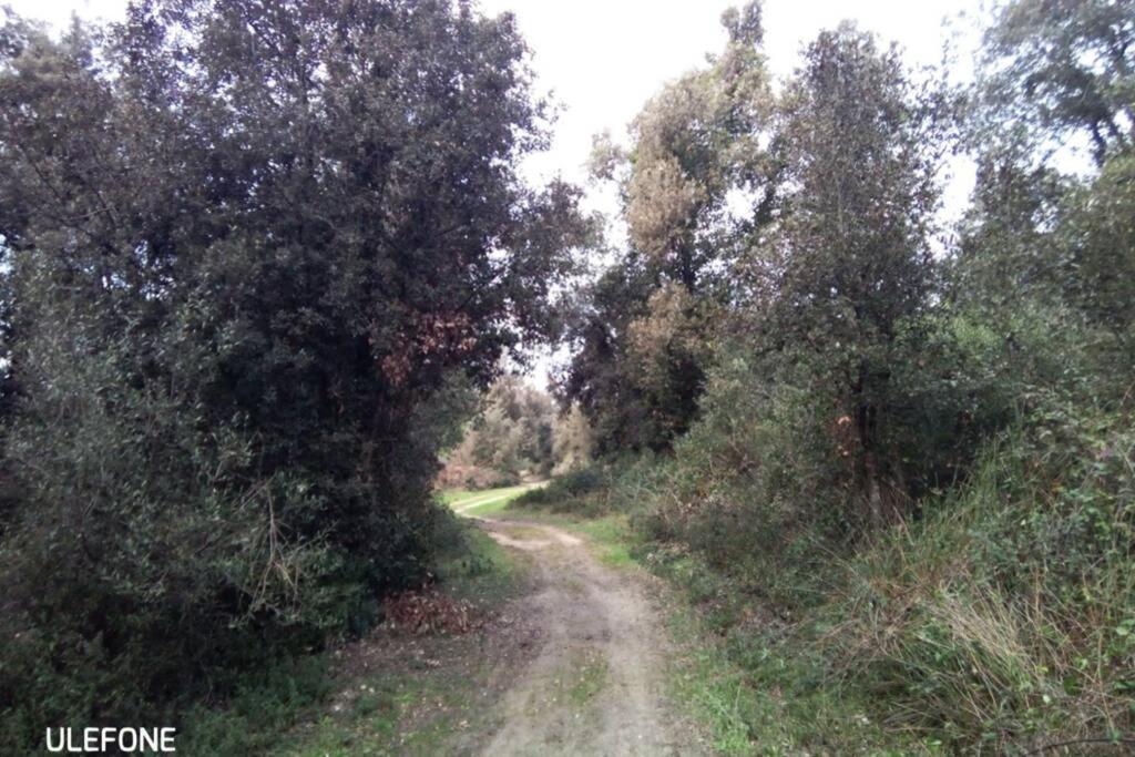 Appartamento In Parco Naturale, Con Accesso Diretto *