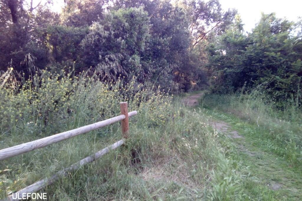 In Parco Naturale, Con Accesso Diretto *
