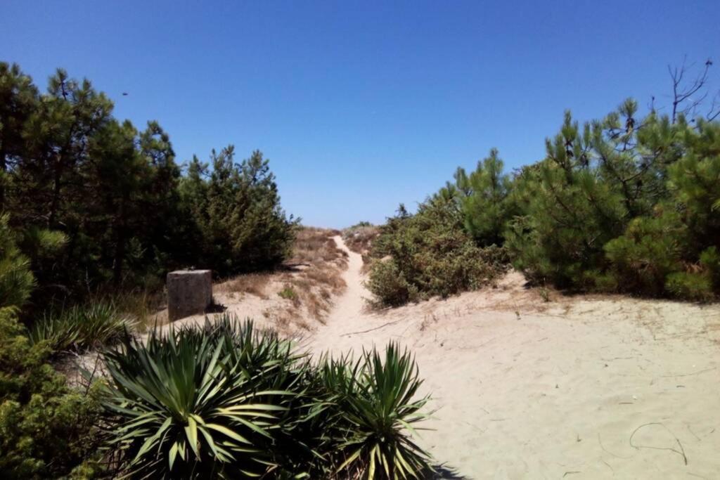 Appartamento In Parco Naturale, Con Accesso Diretto *