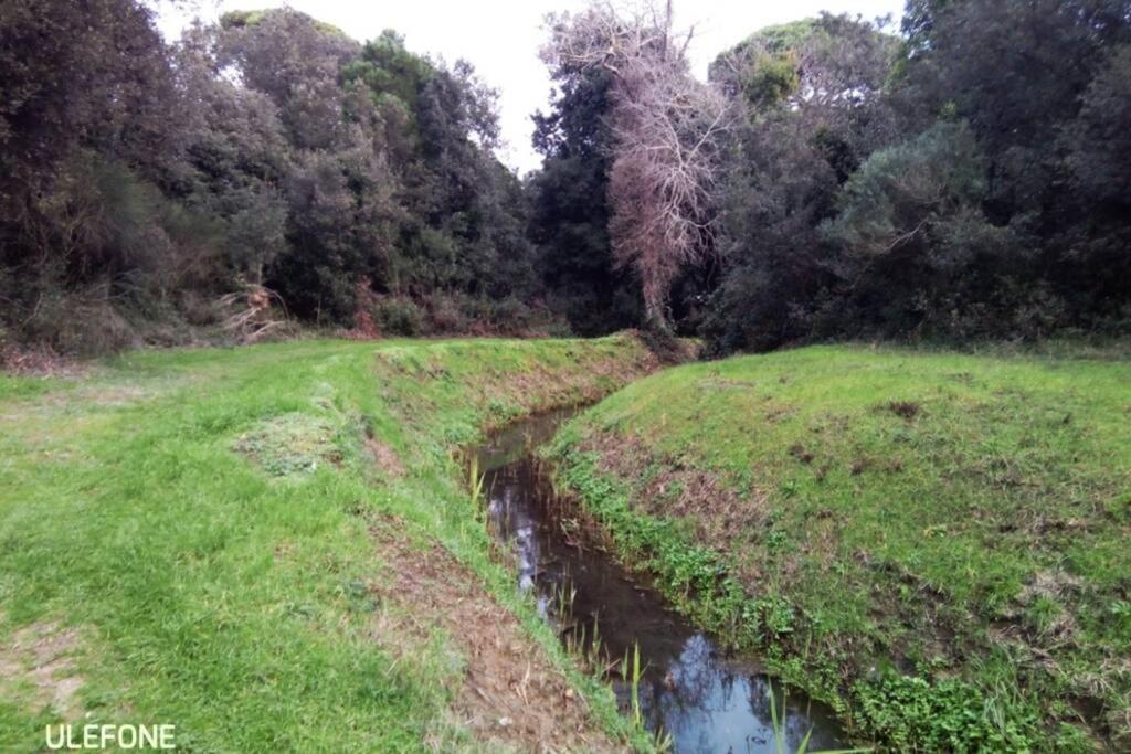 In Parco Naturale, Con Accesso Diretto Appartamento