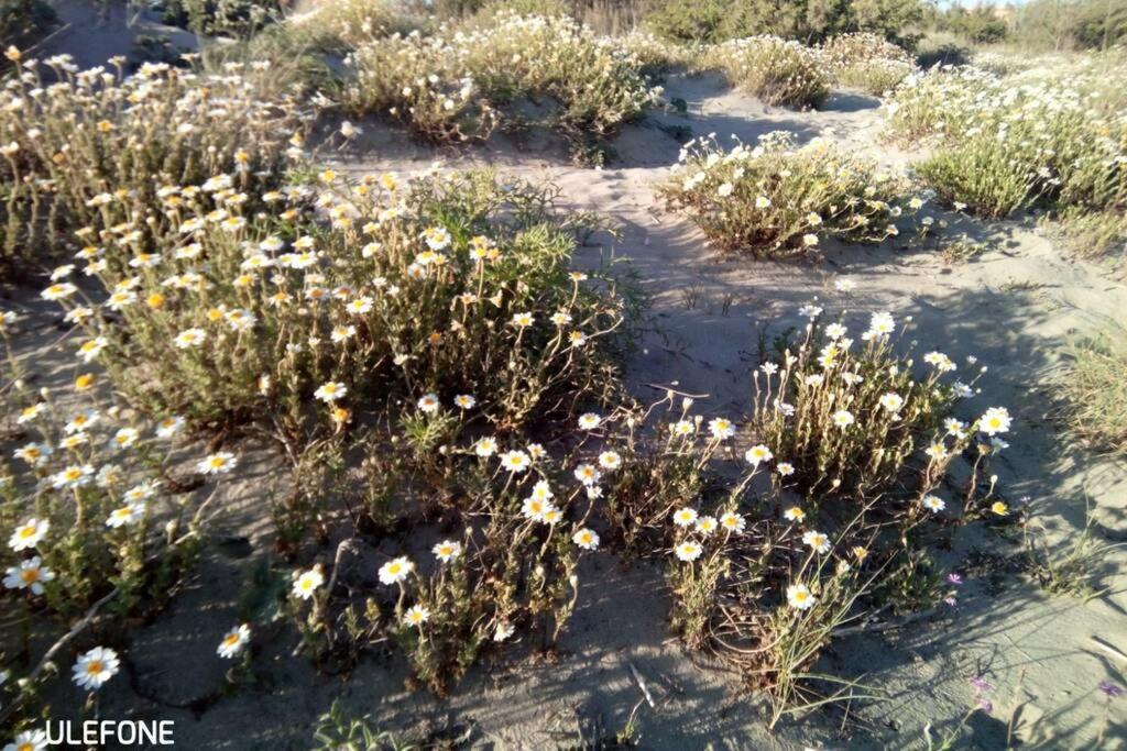 Appartamento In Parco Naturale, Con Accesso Diretto