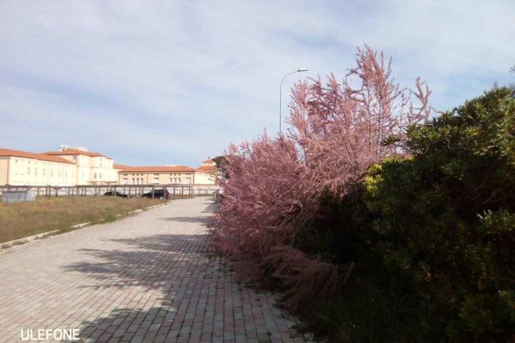 In Parco Naturale, Con Accesso Diretto Appartamento