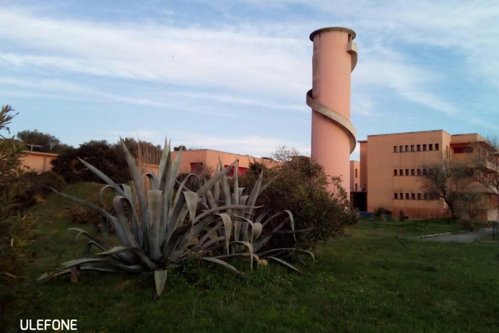 In Parco Naturale, Con Accesso Diretto * Pisa