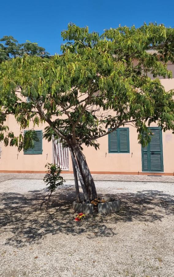 Casa de hóspedes Town 2