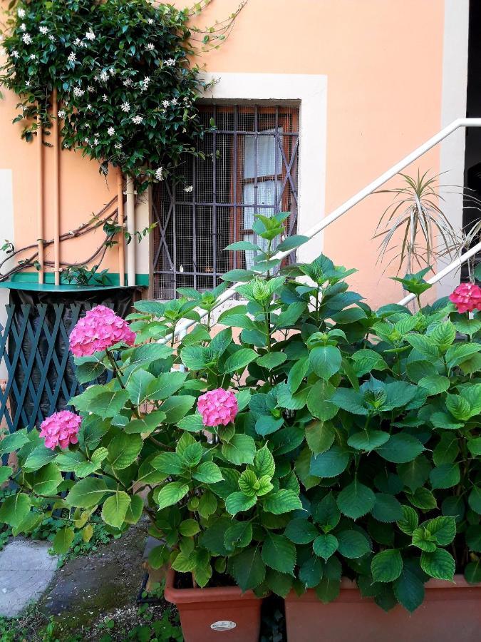 Guest house Il Campanile Ii Locazione Turistica