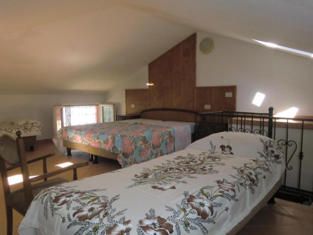 Apartment Martini - Tirrenia
