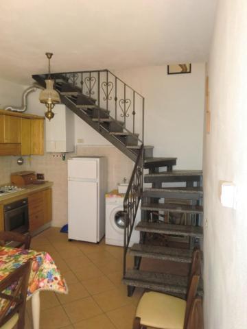 Martini - Tirrenia Apartment *