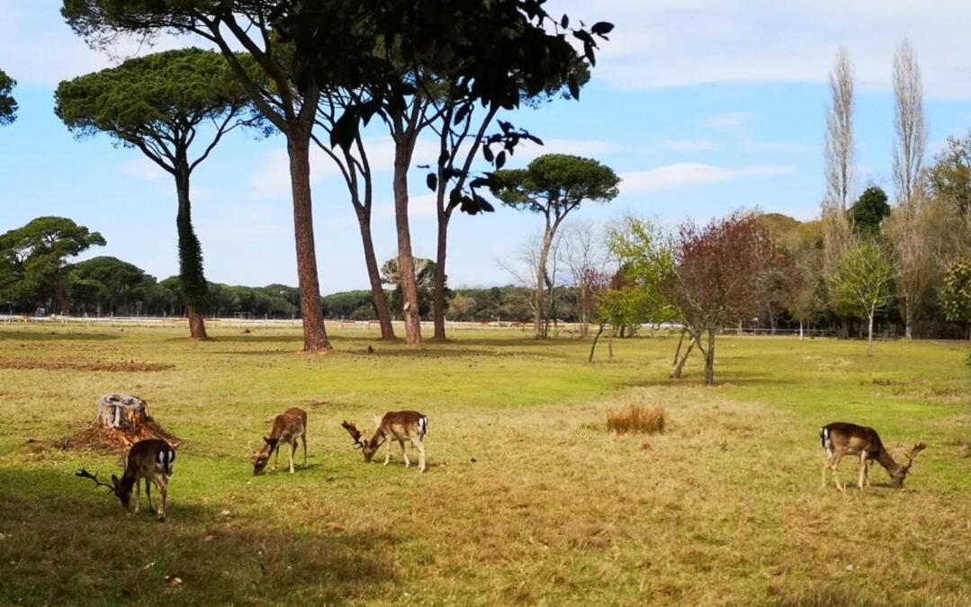 Casa Indipendente Holiday home *