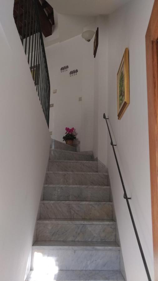 Domus Aparthotel Pisa