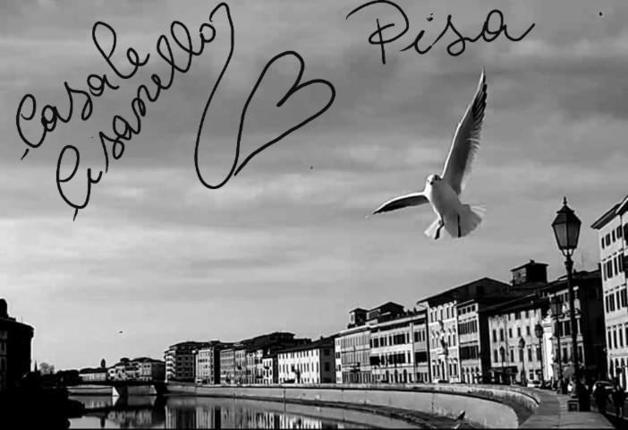 Gasthuis Casale Cisanello *