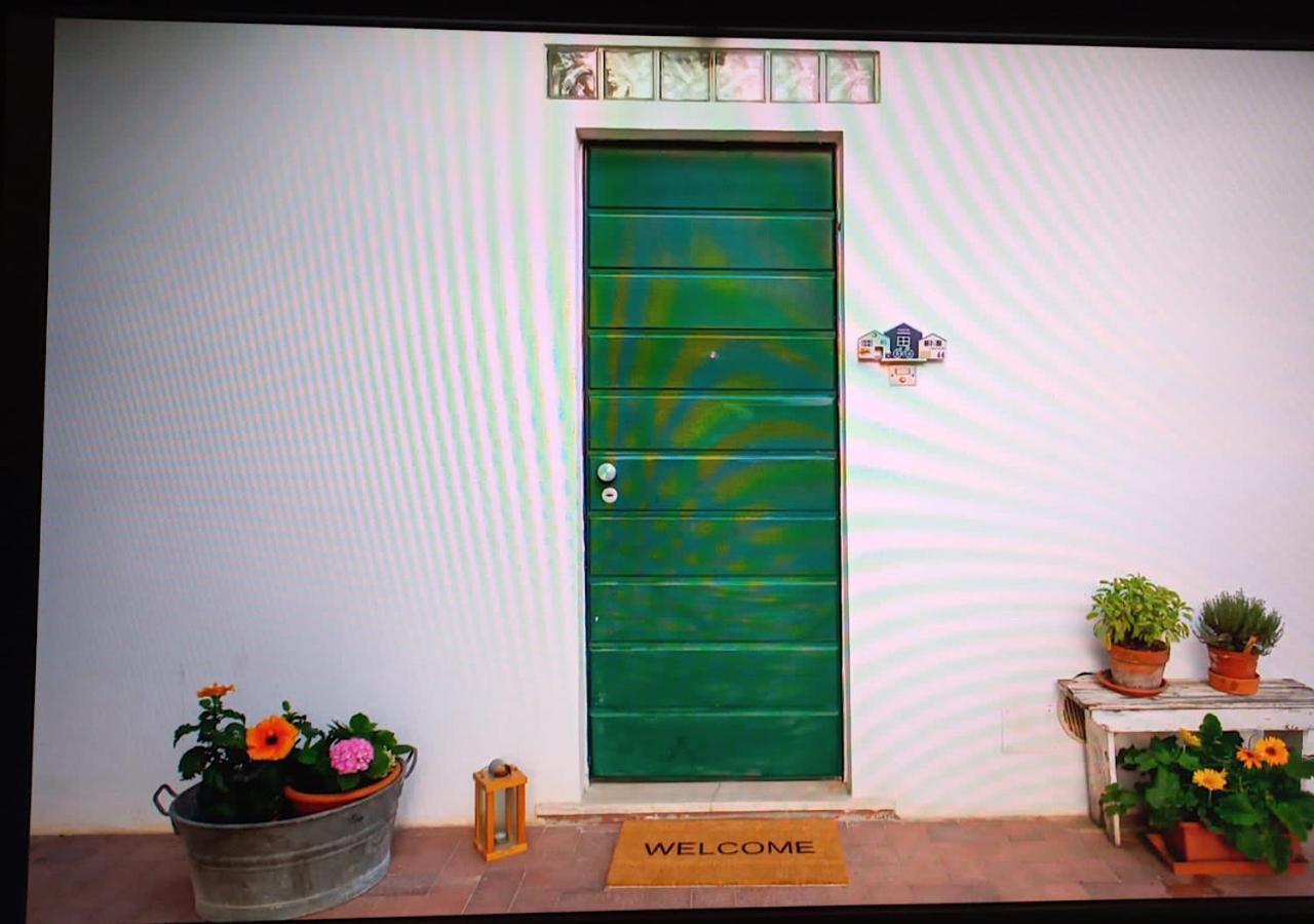Apartment Il Trammino Pisa