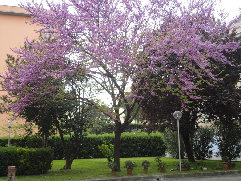 Cisanello House Guest house