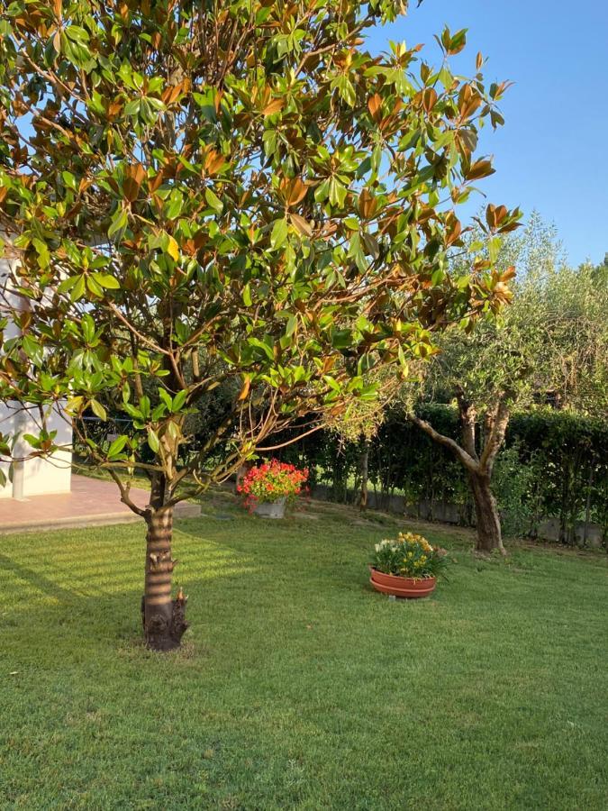 Apartment Il Trammino Pisa
