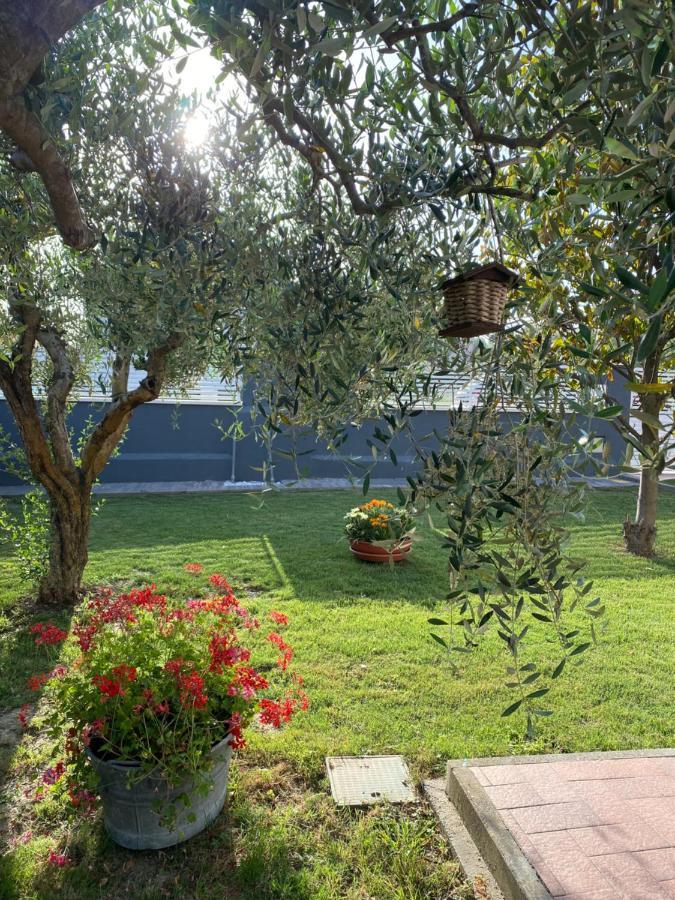 Apartment Il Trammino