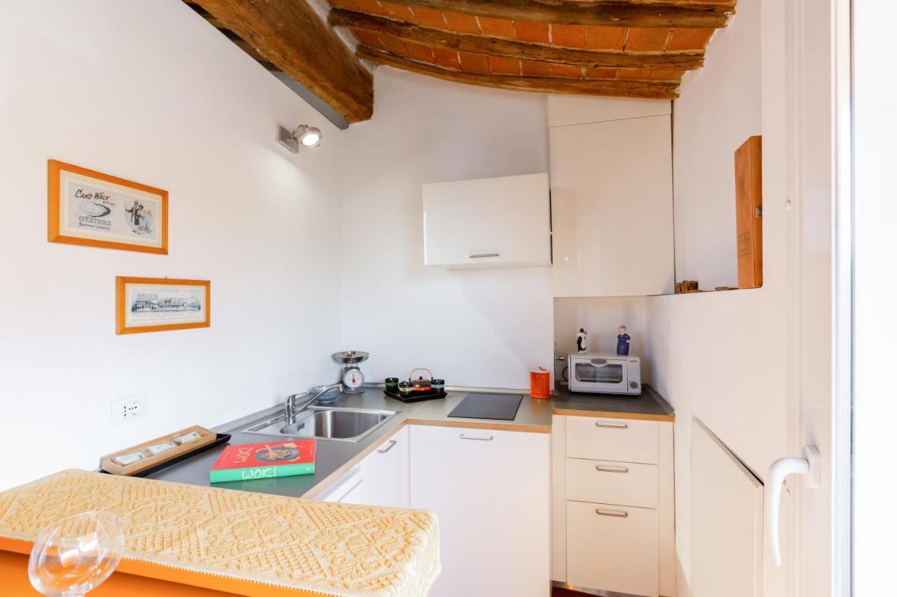 Piazza Dei Cavalieri Orange Attic Apartment