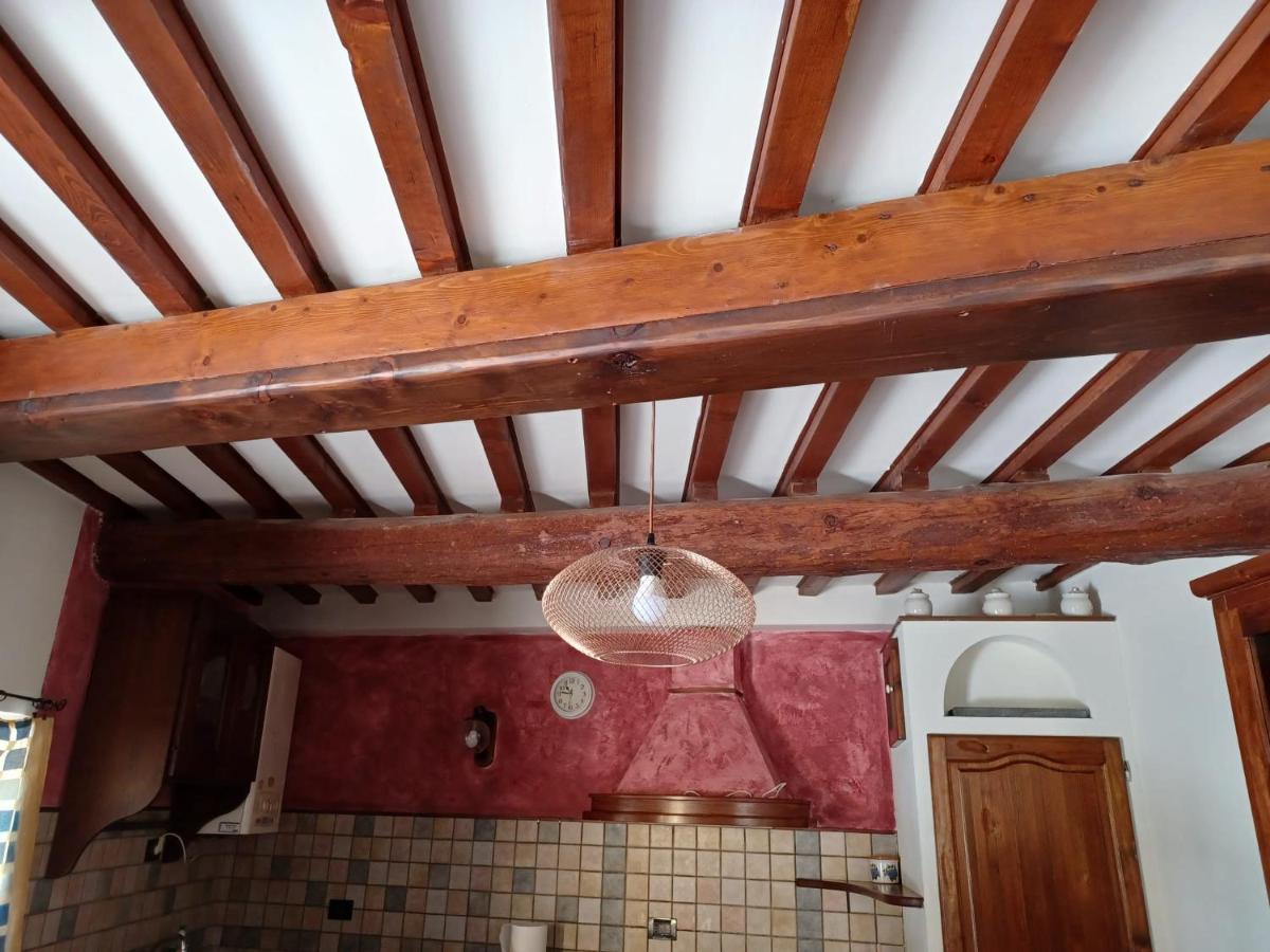Grazioso Sull'arno Apartment Pisa
