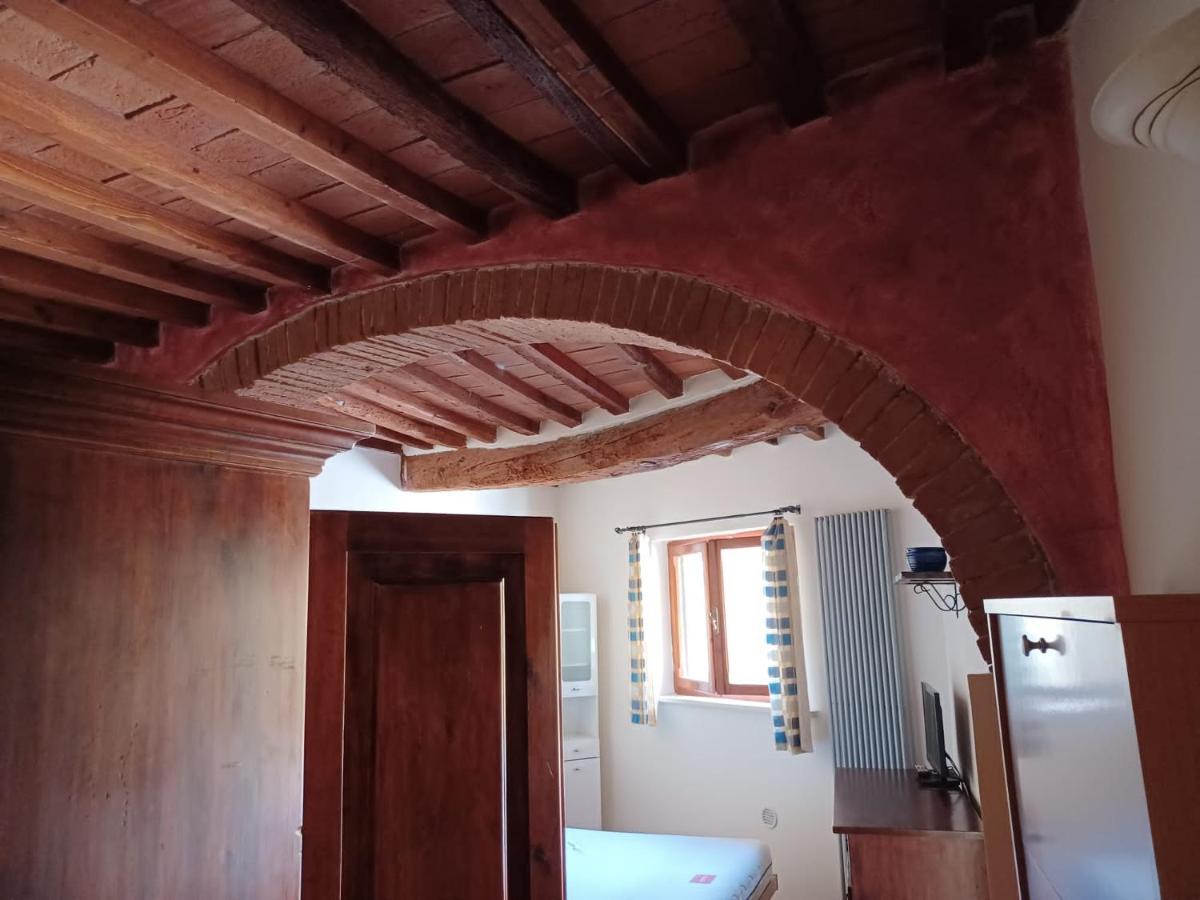 Grazioso Sull'arno Apartment Pisa