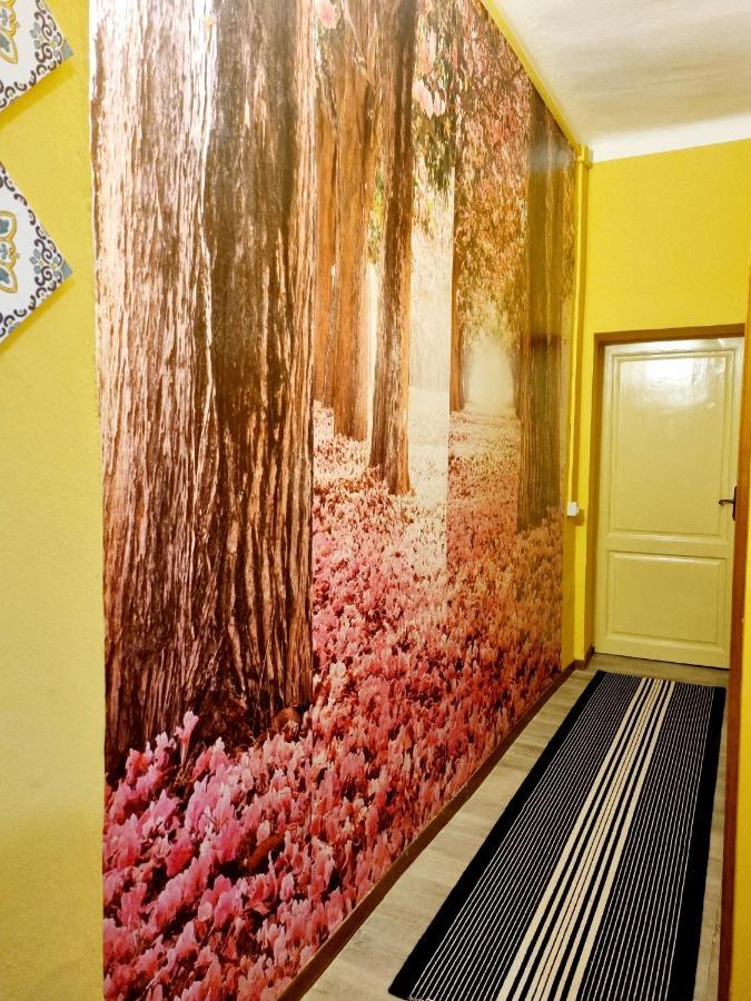Rose Guest house *