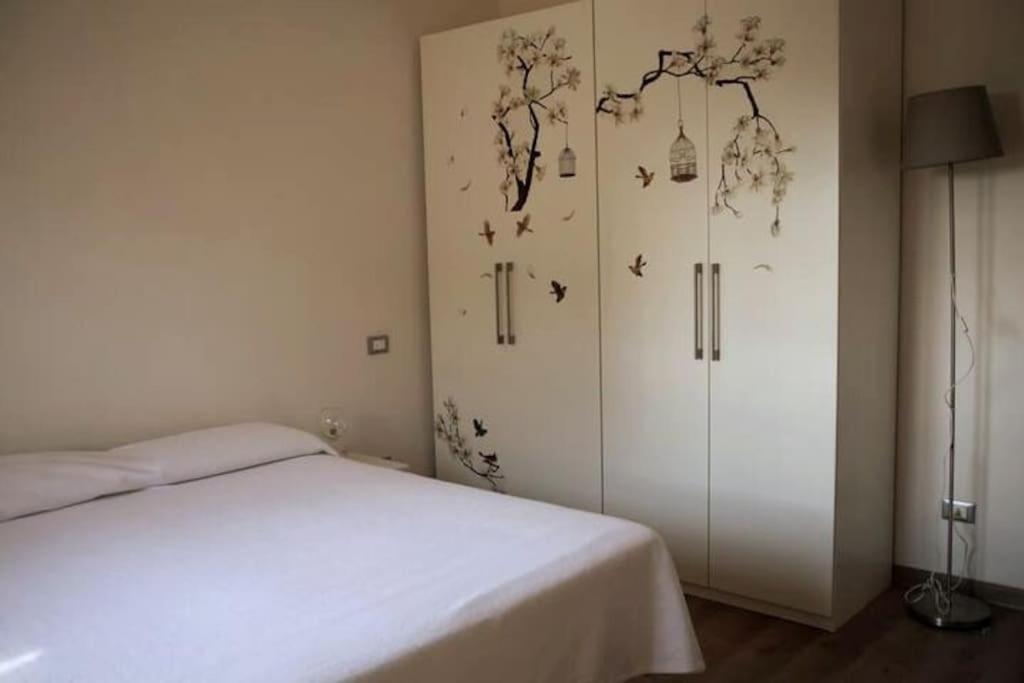 Delightful House - Airport And Cisanello Of *