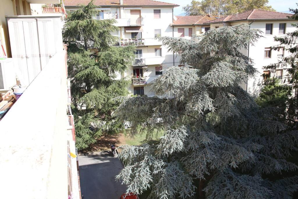 Delightful House - Airport And Cisanello Of * Pisa