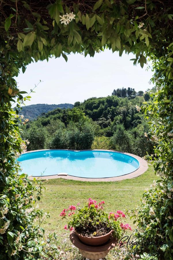 Il Gelsomino Con Piscina *