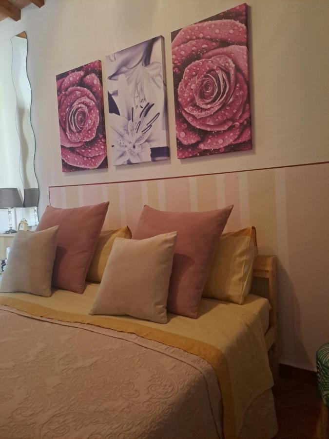 Il Rustichello Apartamento Pisa