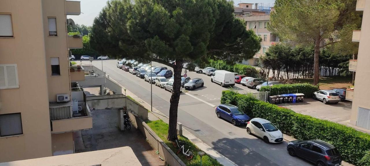7 Cisanello Pisa