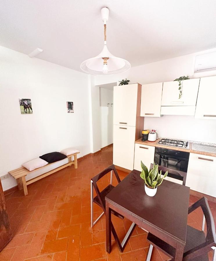 Apartment Turfrose Di San Rossore A By Zoom In Earth *
