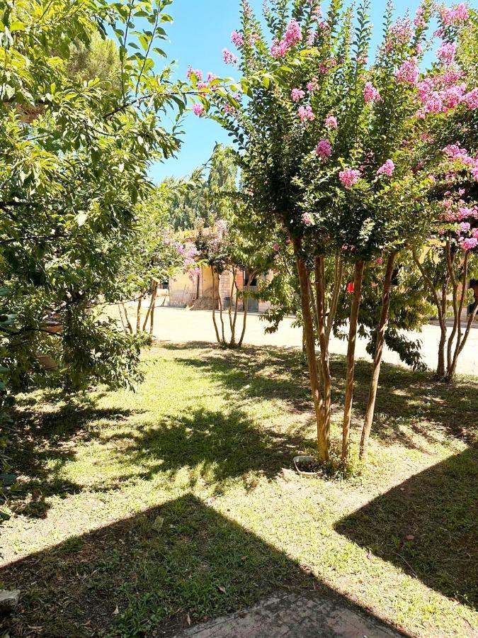 Turfrose Di San Rossore A By Zoom In Earth Apartment *