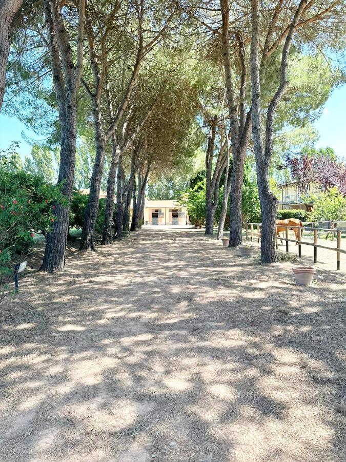 Apartment Turfrose Di San Rossore A By Zoom In Earth *