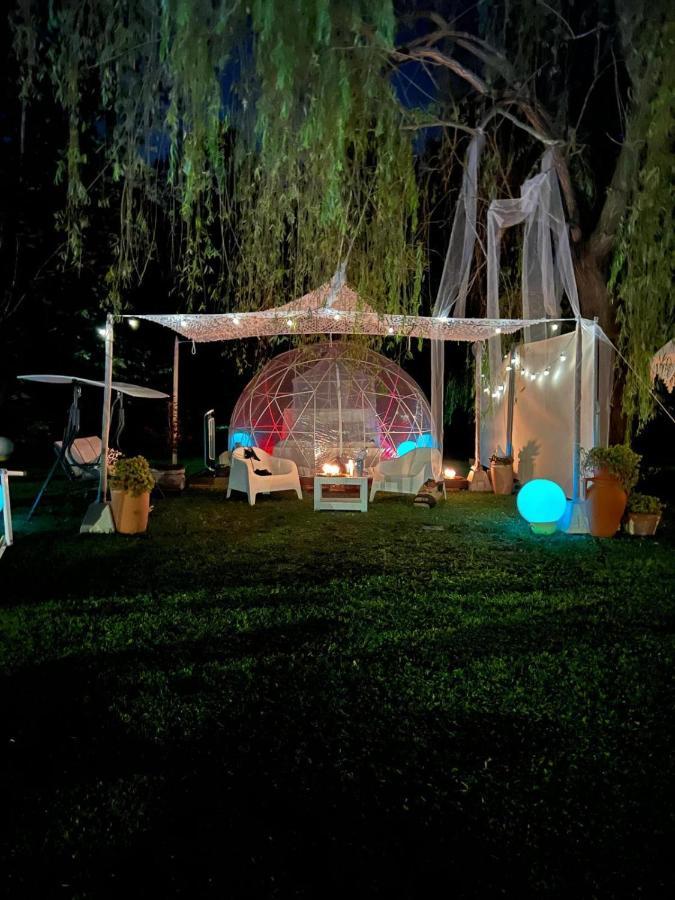 Campsite Bubble On The Pool Pisa