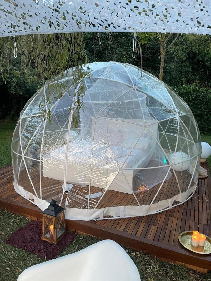 Bubble On The Pool