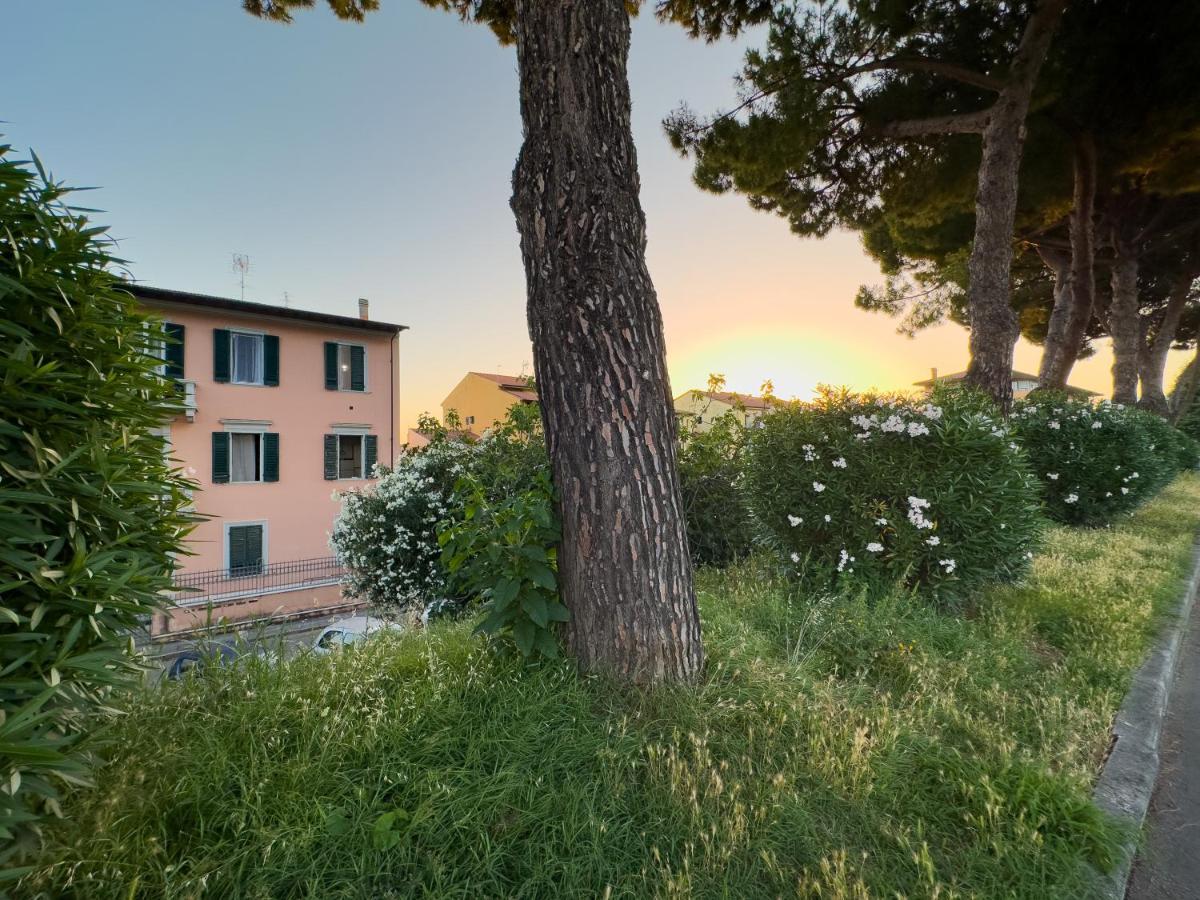 Apartment La Casa Di Eli Pisa