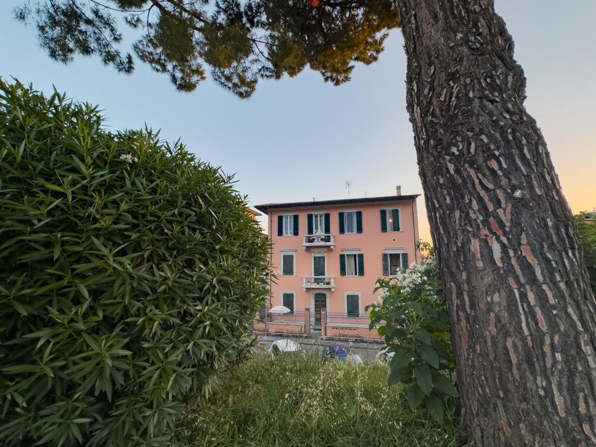 La Casa Di Eli Pisa