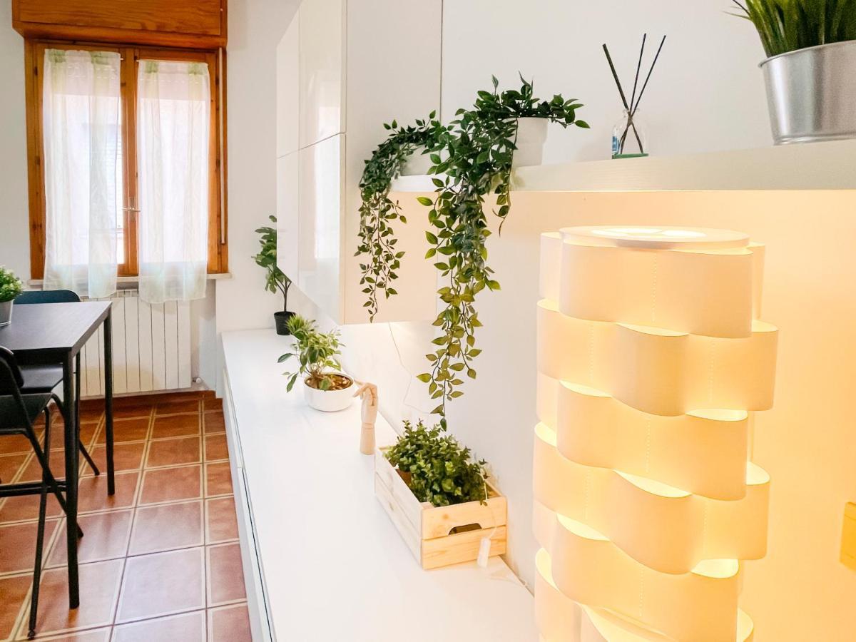 Apartamento Ospedale Cisanello Bonsai House *