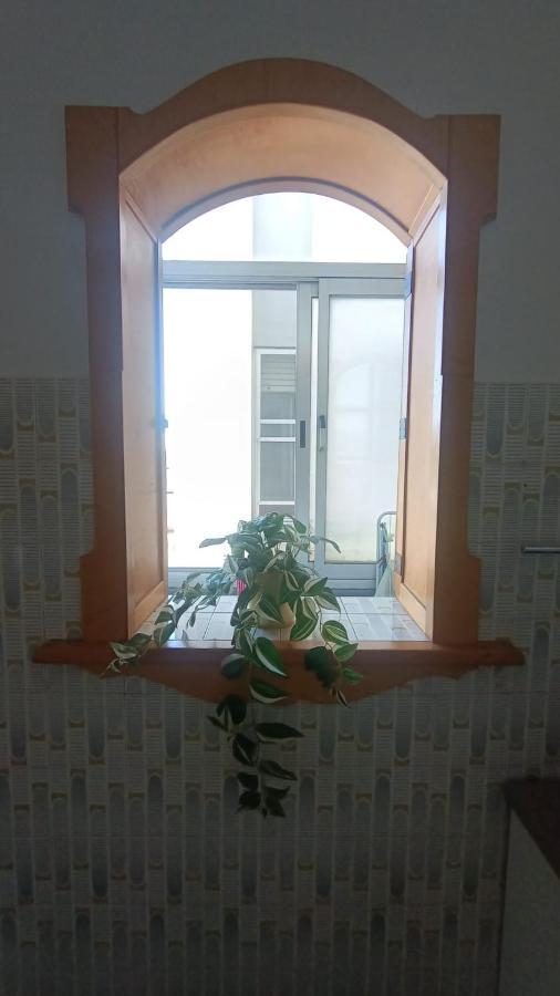 L'orchidea Pisa