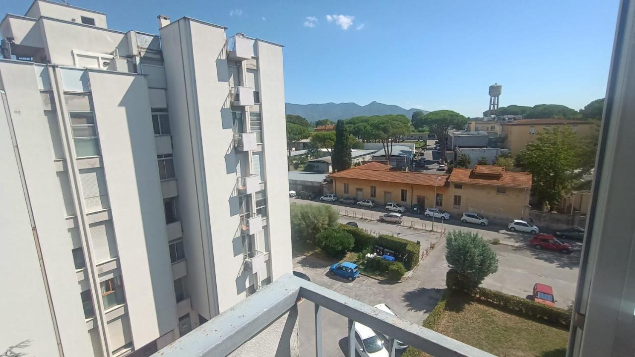 Bed & Breakfast L'orchidea Pisa