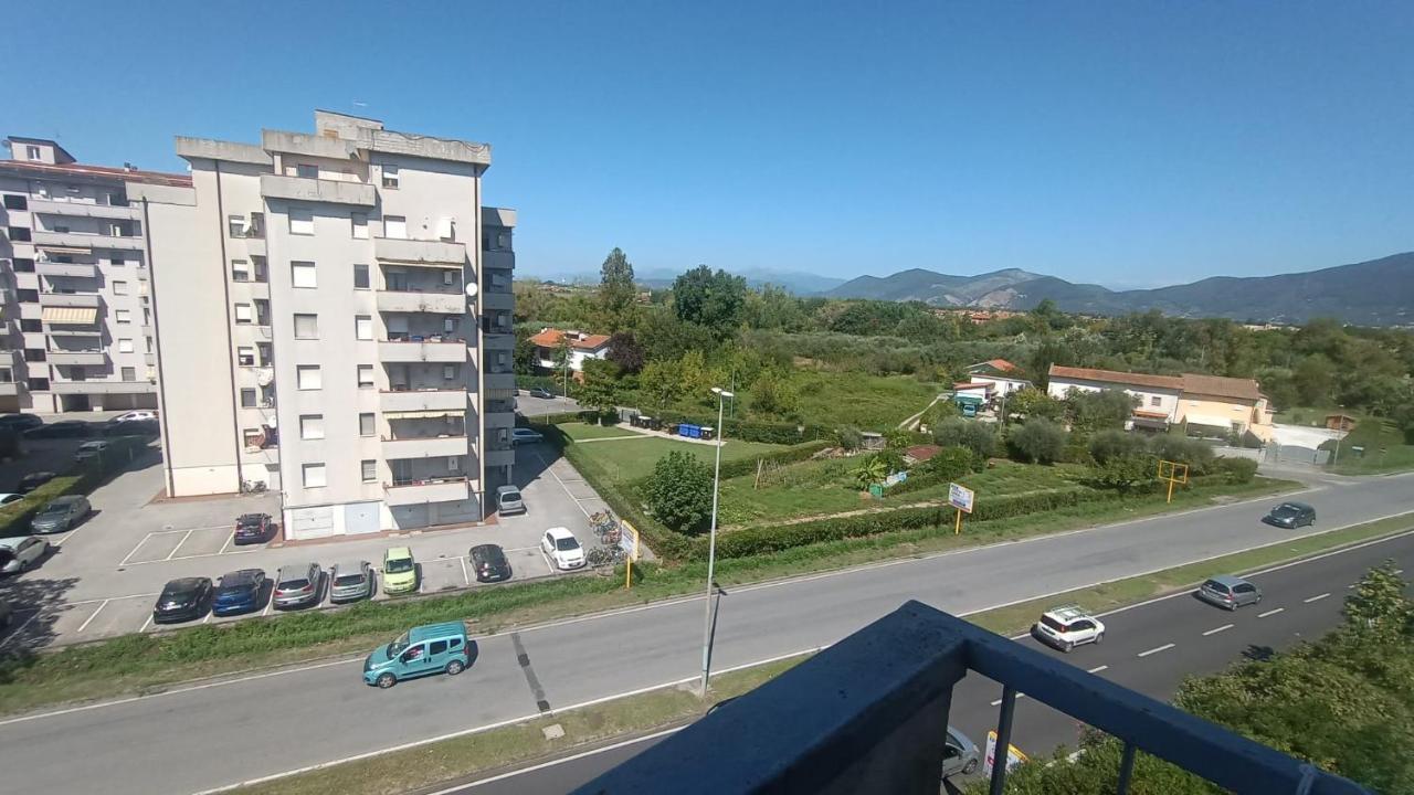 L'orchidea