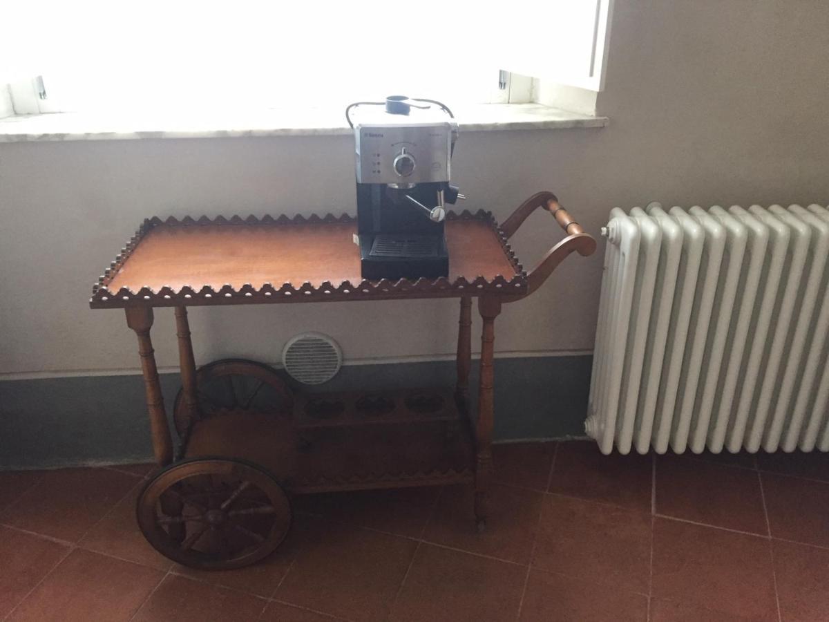 Almadelena * Pisa