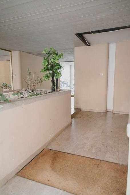 Apartment Spina *