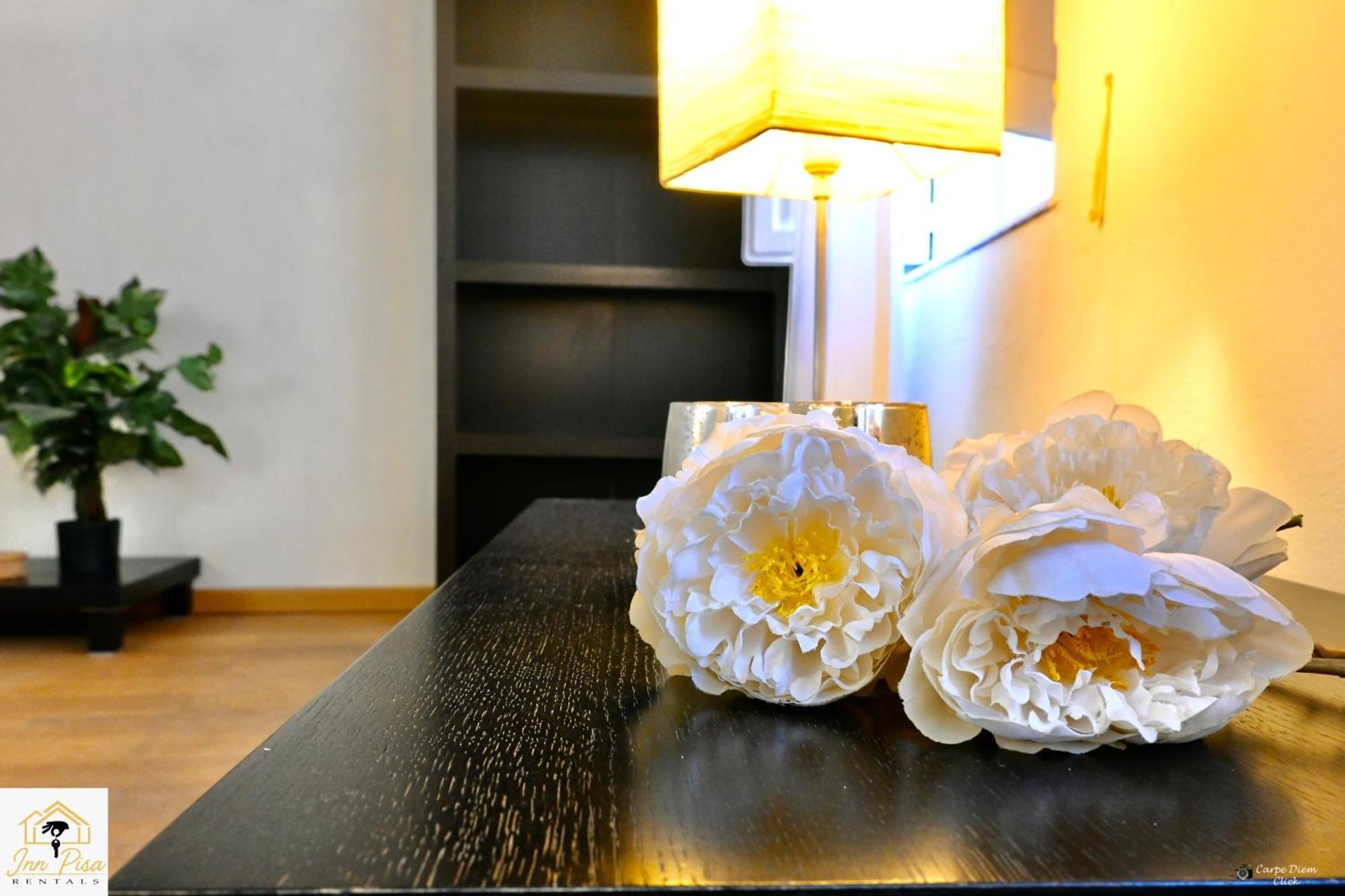 2- San Francesco Flat Pisa